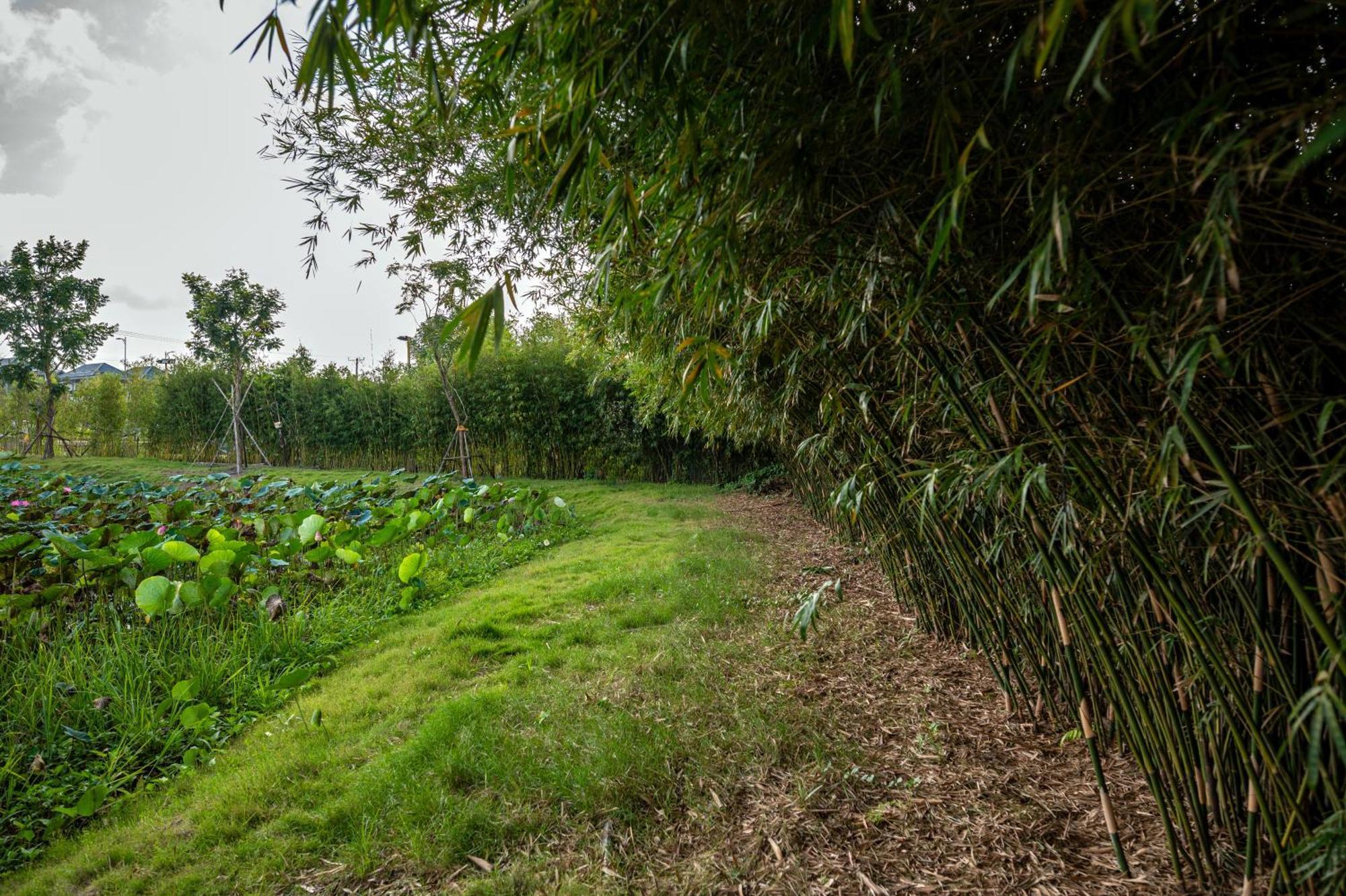 Villa The Bee - Du An Id Junction Long Thanh Екстер'єр фото